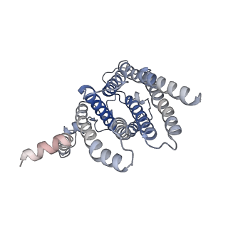 35863_8izf_A_v1-1
Cryo-EM structure of the Lac1-Lip1 (Lip1-S74F) complex