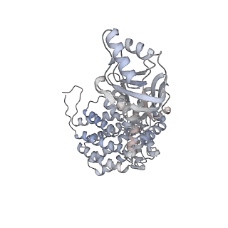 5247_3izk_B_v1-2
Mm-cpn rls deltalid with ATP
