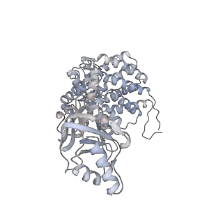 5247_3izk_F_v1-2
Mm-cpn rls deltalid with ATP