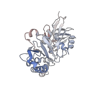 9757_6izr_2_v1-2
Whole structure of a 15-stranded ParM filament from Clostridium botulinum