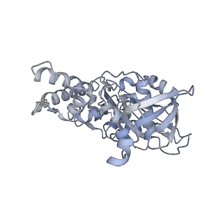 9757_6izr_J_v1-2
Whole structure of a 15-stranded ParM filament from Clostridium botulinum