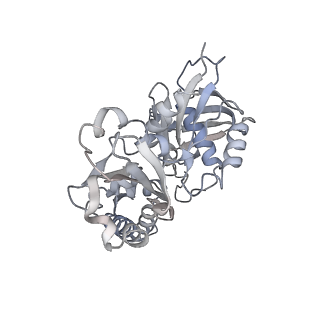 9757_6izr_b_v1-2
Whole structure of a 15-stranded ParM filament from Clostridium botulinum