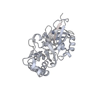 9757_6izr_e_v1-2
Whole structure of a 15-stranded ParM filament from Clostridium botulinum