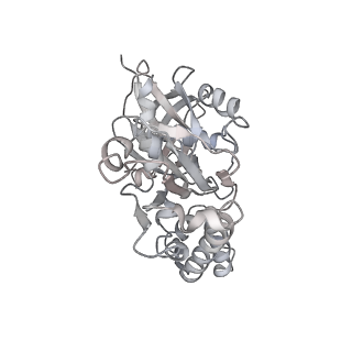 9757_6izr_o_v1-2
Whole structure of a 15-stranded ParM filament from Clostridium botulinum