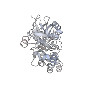 9757_6izr_r_v1-2
Whole structure of a 15-stranded ParM filament from Clostridium botulinum