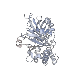 9757_6izr_u_v1-2
Whole structure of a 15-stranded ParM filament from Clostridium botulinum