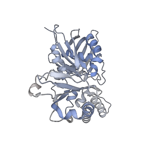 9757_6izr_x_v1-2
Whole structure of a 15-stranded ParM filament from Clostridium botulinum