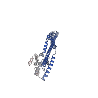 35880_8j01_A_v1-0
Human KCNQ2-CaM in complex with CBD and PIP2