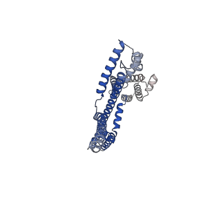 35880_8j01_D_v1-0
Human KCNQ2-CaM in complex with CBD and PIP2
