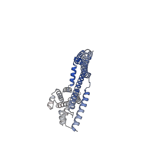 35881_8j02_A_v1-0
Human KCNQ2(F104A)-CaM-PIP2-CBD complex in state II
