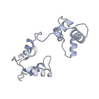 35881_8j02_C_v1-0
Human KCNQ2(F104A)-CaM-PIP2-CBD complex in state II