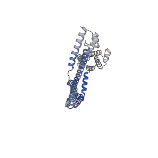 35881_8j02_D_v1-0
Human KCNQ2(F104A)-CaM-PIP2-CBD complex in state II