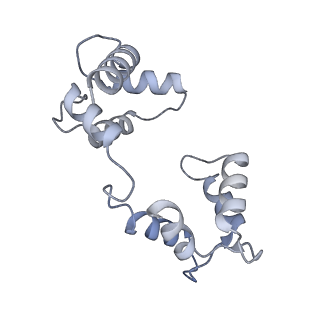 35881_8j02_E_v1-0
Human KCNQ2(F104A)-CaM-PIP2-CBD complex in state II