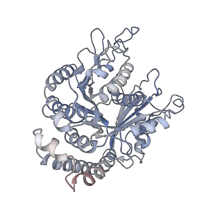 35888_8j07_EK_v1-1
96nm repeat of human respiratory doublet microtubule and associated axonemal complexes