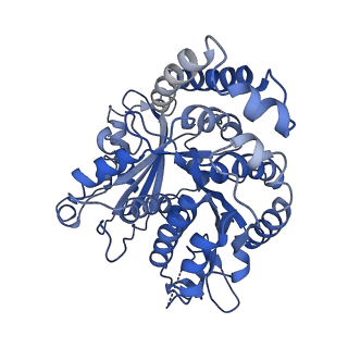 35888_8j07_KE_v1-1
96nm repeat of human respiratory doublet microtubule and associated axonemal complexes