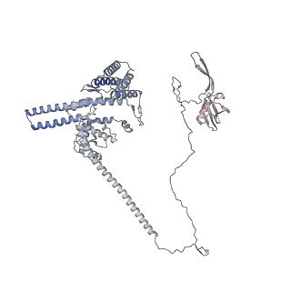 35888_8j07_c2_v1-1
96nm repeat of human respiratory doublet microtubule and associated axonemal complexes