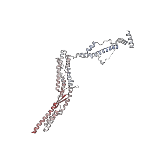35888_8j07_g4_v1-1
96nm repeat of human respiratory doublet microtubule and associated axonemal complexes