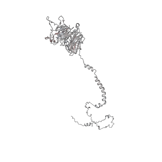35888_8j07_k1_v1-1
96nm repeat of human respiratory doublet microtubule and associated axonemal complexes