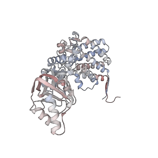 5138_3j03_F_v1-4
Lidless Mm-cpn in the closed state with ATP/AlFx