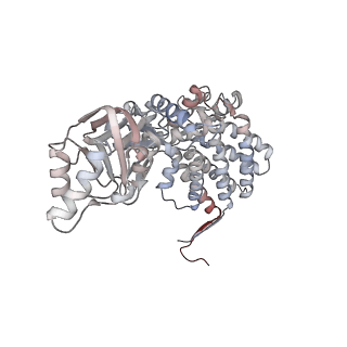 5138_3j03_G_v1-4
Lidless Mm-cpn in the closed state with ATP/AlFx