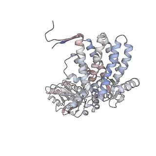 5138_3j03_I_v1-4
Lidless Mm-cpn in the closed state with ATP/AlFx