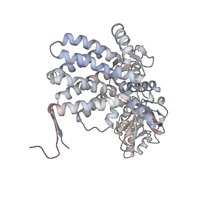 5138_3j03_K_v1-4
Lidless Mm-cpn in the closed state with ATP/AlFx