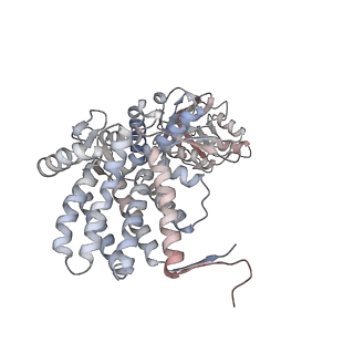 5138_3j03_M_v1-4
Lidless Mm-cpn in the closed state with ATP/AlFx