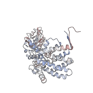 5138_3j03_O_v1-4
Lidless Mm-cpn in the closed state with ATP/AlFx