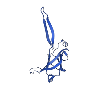 9765_6j0n_2_v1-2
Cryo-EM Structure of an Extracellular Contractile Injection System, baseplate in extended state, refined in C6 symmetry