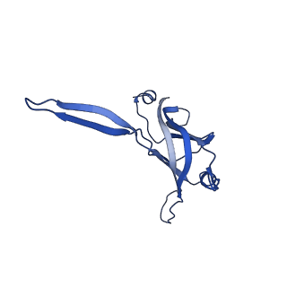 9765_6j0n_3_v1-2
Cryo-EM Structure of an Extracellular Contractile Injection System, baseplate in extended state, refined in C6 symmetry