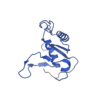 9765_6j0n_E_v1-2
Cryo-EM Structure of an Extracellular Contractile Injection System, baseplate in extended state, refined in C6 symmetry