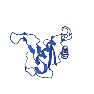 9765_6j0n_F_v1-2
Cryo-EM Structure of an Extracellular Contractile Injection System, baseplate in extended state, refined in C6 symmetry