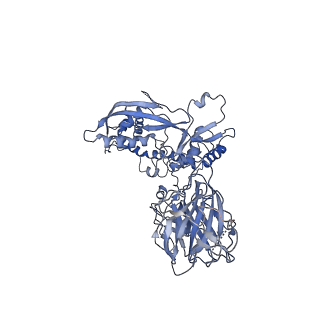 9765_6j0n_O_v1-2
Cryo-EM Structure of an Extracellular Contractile Injection System, baseplate in extended state, refined in C6 symmetry