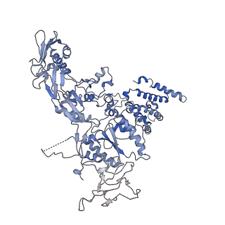 9765_6j0n_R_v1-2
Cryo-EM Structure of an Extracellular Contractile Injection System, baseplate in extended state, refined in C6 symmetry