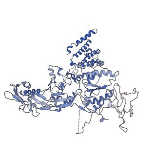 9765_6j0n_S_v1-2
Cryo-EM Structure of an Extracellular Contractile Injection System, baseplate in extended state, refined in C6 symmetry