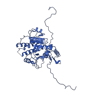 9765_6j0n_W_v1-2
Cryo-EM Structure of an Extracellular Contractile Injection System, baseplate in extended state, refined in C6 symmetry