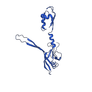 9765_6j0n_e_v1-2
Cryo-EM Structure of an Extracellular Contractile Injection System, baseplate in extended state, refined in C6 symmetry