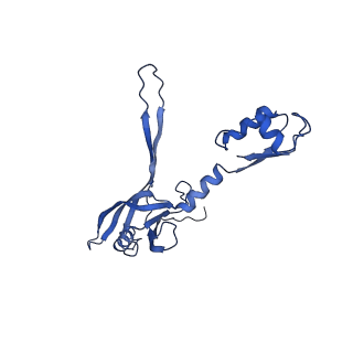 9765_6j0n_f_v1-2
Cryo-EM Structure of an Extracellular Contractile Injection System, baseplate in extended state, refined in C6 symmetry