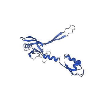 9765_6j0n_g_v1-2
Cryo-EM Structure of an Extracellular Contractile Injection System, baseplate in extended state, refined in C6 symmetry