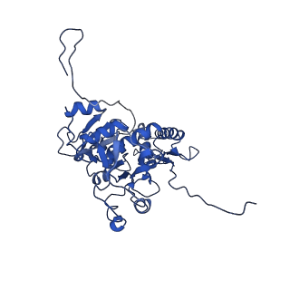 9765_6j0n_h_v1-2
Cryo-EM Structure of an Extracellular Contractile Injection System, baseplate in extended state, refined in C6 symmetry