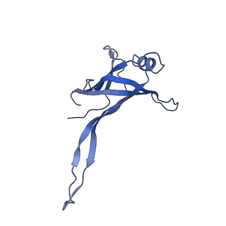 9765_6j0n_o_v1-2
Cryo-EM Structure of an Extracellular Contractile Injection System, baseplate in extended state, refined in C6 symmetry