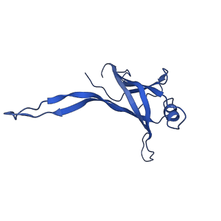 9765_6j0n_p_v1-2
Cryo-EM Structure of an Extracellular Contractile Injection System, baseplate in extended state, refined in C6 symmetry