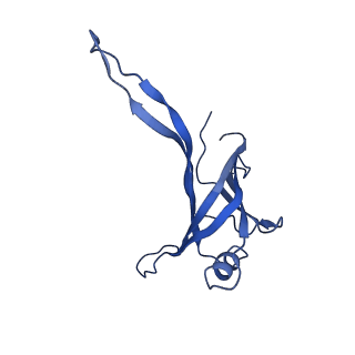 9765_6j0n_q_v1-2
Cryo-EM Structure of an Extracellular Contractile Injection System, baseplate in extended state, refined in C6 symmetry