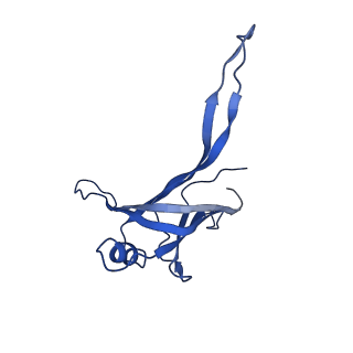 9765_6j0n_r_v1-2
Cryo-EM Structure of an Extracellular Contractile Injection System, baseplate in extended state, refined in C6 symmetry