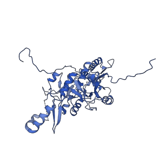 9765_6j0n_t_v1-2
Cryo-EM Structure of an Extracellular Contractile Injection System, baseplate in extended state, refined in C6 symmetry