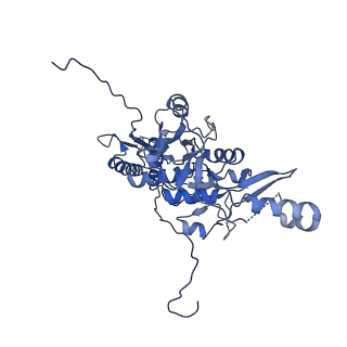 9765_6j0n_v_v1-2
Cryo-EM Structure of an Extracellular Contractile Injection System, baseplate in extended state, refined in C6 symmetry