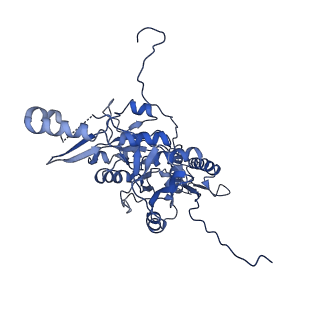 9765_6j0n_y_v1-1
Cryo-EM Structure of an Extracellular Contractile Injection System, baseplate in extended state, refined in C6 symmetry