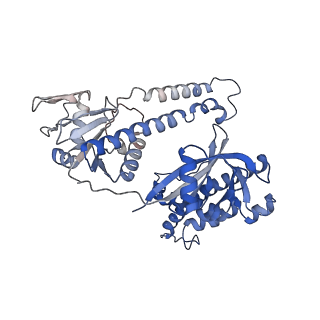 35912_8j12_A_v1-0
Cryo-EM structure of the AsCas12f-sgRNA-target DNA ternary complex