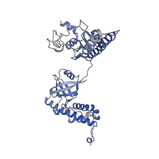 35912_8j12_B_v1-0
Cryo-EM structure of the AsCas12f-sgRNA-target DNA ternary complex