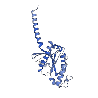 35913_8j18_A_v1-1
Cryo-EM structure of the 3-OH-C12-bound GPR84 receptor-Gi complex